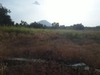 Land for Sale in Dambulla