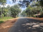 Land for sale in Dambulla