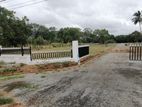 Land for Sale in Dambulla