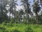 Land for Sale in Dambulla