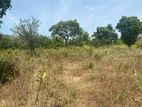 Land for Sale in Dambulla