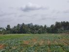 Land for Sale in Dambulla