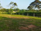 Land for Sale in Dambulla