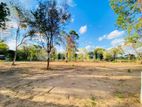 Land for Sale in Dambulla -