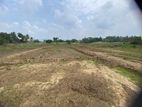 Land for Sale in Dambulla