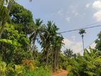 Land for Sale in Dambulla