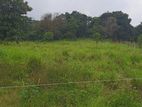 Land for Sale in Dambulla