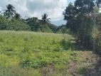 Land for Sale in Dambulla
