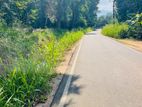 Land for Sale in Dambulla