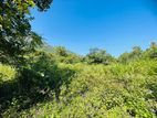 Land for Sale in Dambulla