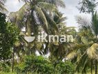 Land For Sale in Dambulla
