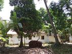 LAND FOR SALE IN DAMBULLA