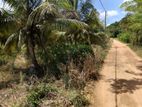 Land for Sale in Dambulla