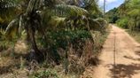 Land for Sale in Dambulla