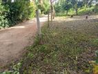 Land for sale in Dambulla