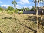 Land for Sale in Dambulla