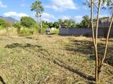 Land for Sale in Dambulla