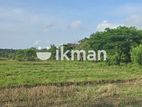 Land for Sale in Dambulla