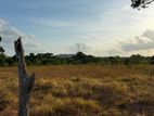 Land for Sale in Dambulla