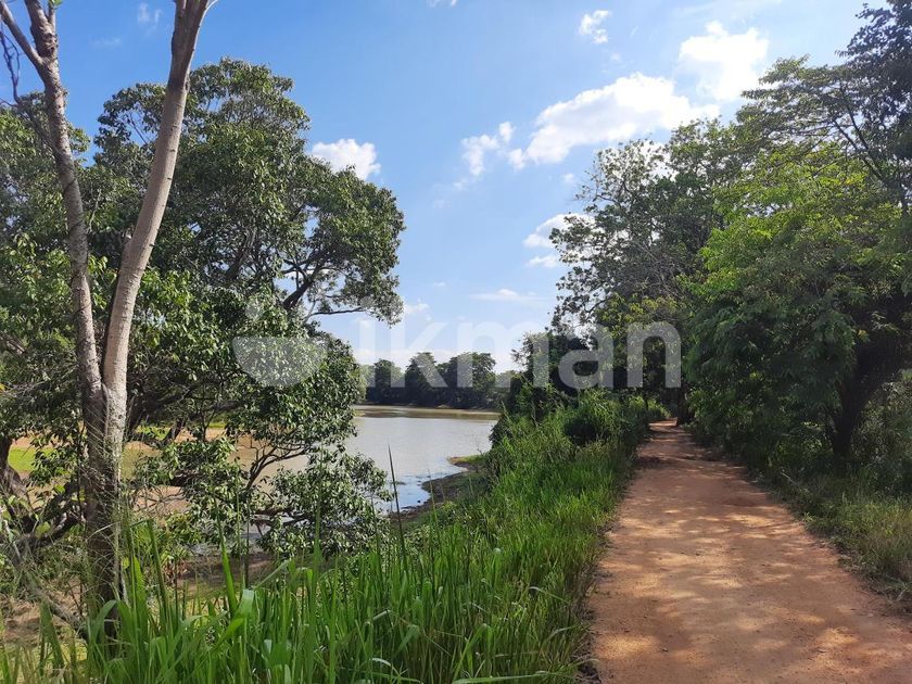 Land for Sale in Dambulla ikman