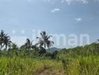 Land for sale in Dambulla - ගඟකට මායිම් වූ අක්කර 1 ක ඉඩමක් විකිණීමට