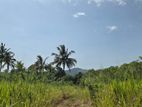 Land for sale in Dambulla - ගඟකට මායිම් වූ අක්කර 1 ක ඉඩමක් විකිණීමට