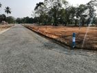 land for sale in dambulla kandalama road face