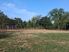 land for sale in dambulla kandy road