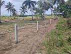 Land for Sale in Dambulla Kandy Road