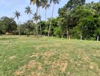 Land for Sale in Dambulla Kandy Road