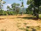 Land for Sale in Dambulla Kandy Road