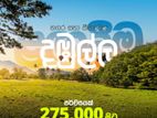 Land for Sale in Dambulla. Kapuwatta
