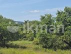 Land For Sale in Dambulla - මනරම් වැවක දර්ශනයක් සමග දඹුල්ලේන් ඉඩමක්