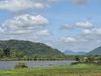 Land For Sale in Dambulla - මනරම් වැවක දර්ශනයක් සමග දඹුල්ලේන් ඉඩමක්
