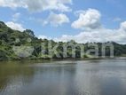 Land for sale in Dambulla -මනරම් වටපිටාවක් ඇති ඉඩම්ක් දඹුල්ලෙන් විකිණීමට