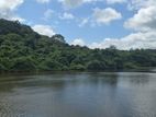 Land for sale in Dambulla -මනරම් වටපිටාවක් ඇති ඉඩම්ක් දඹුල්ලෙන් විකිණීමට