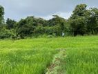 Land for Sale in Dambulla Sigiriya