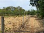 Land for sale in Dambulla Town Area