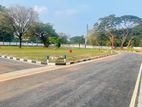 Land For Sale in Dambulla Town