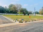 Land for Sale in DambuyTown