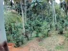 Land for sale in Dandeniya (SSPL- 322)