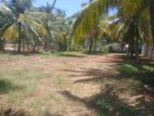 Land for Sale in Dankotuwa, Bujjampola