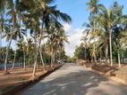 Land for Sale in Dankotuwa