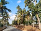 Land for Sale in Dankotuwa