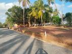 Land for Sale in Dankotuwa