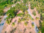 Land for sale in dankotuwa
