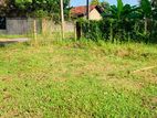 Land for Sale in Dankotuwa