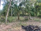 Land for Sale in Dankotuwa