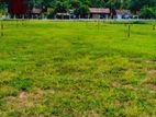 Land for Sale in Dankotuwa