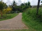Land for Sale in Daraluwa